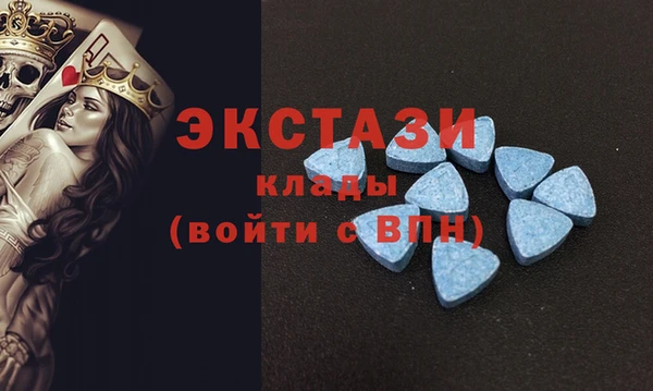 гашик Богородицк
